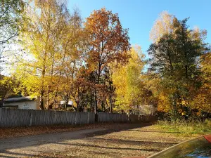 Detskiy Lager' "Yasnaya Polyana"