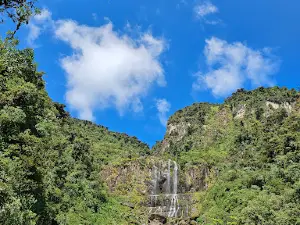 Parc national Carrasco