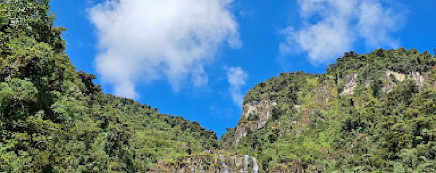 Parc national Carrasco