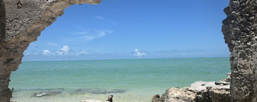Guía de Turistas Celestún Yucatán