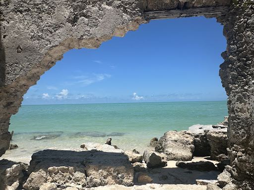 Guía de Turistas Celestún Yucatán