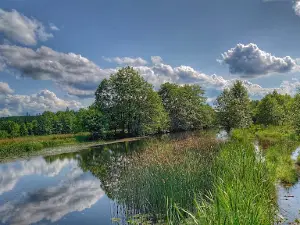 Seglora Camping and Cottages