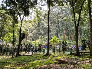 Wana Kartini Mantingan