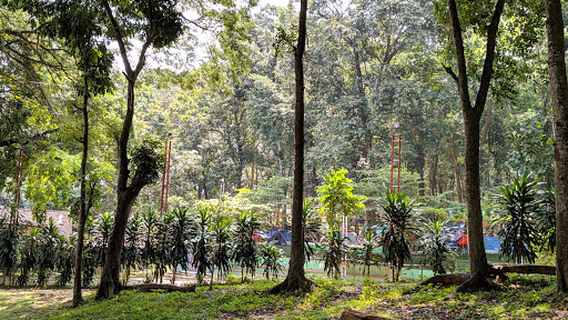 Wana Kartini Mantingan