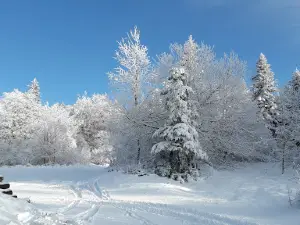 Mont Saint-Rigaud