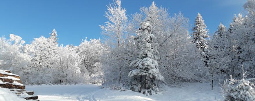 Mont Saint-Rigaud
