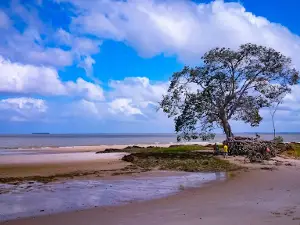 Love Beach