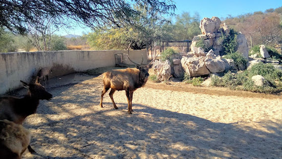 Ecological Center of Sonora