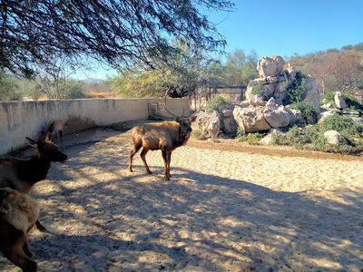Ecological Center of Sonora