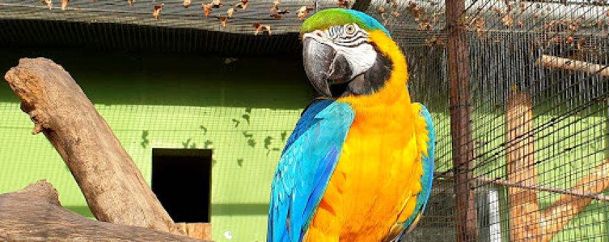 Tierpark Finsterwalde
