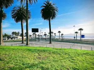 Enjoy Coquimbo