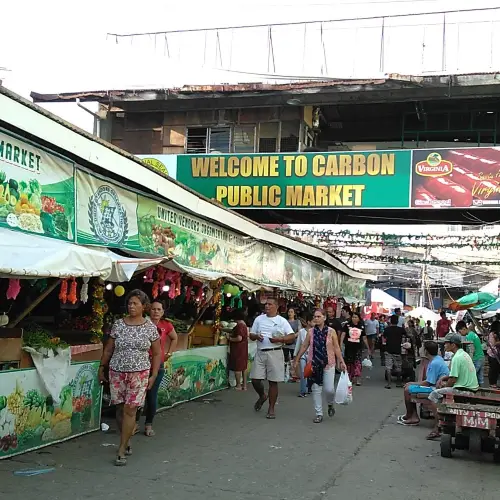 Carbon Market