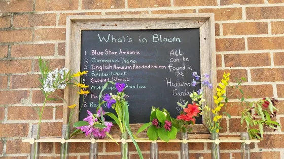 UNC Charlotte Botanical Gardens