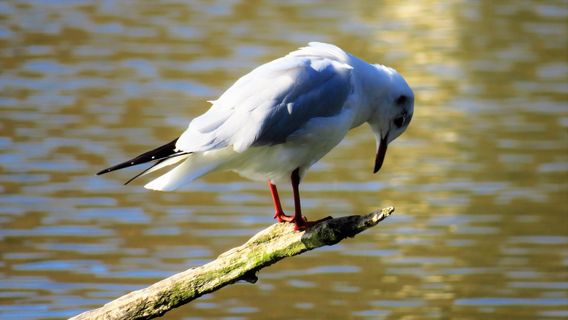 The Nature Discovery Centre
