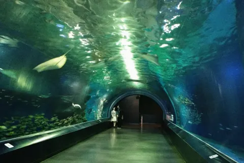 Shinagawa Aquarium