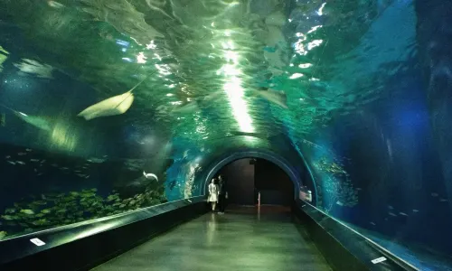 Shinagawa Aquarium