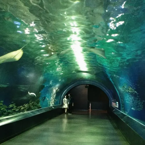 Aquarium de Shinagawa