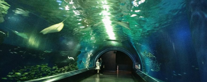 Shinagawa Aquarium