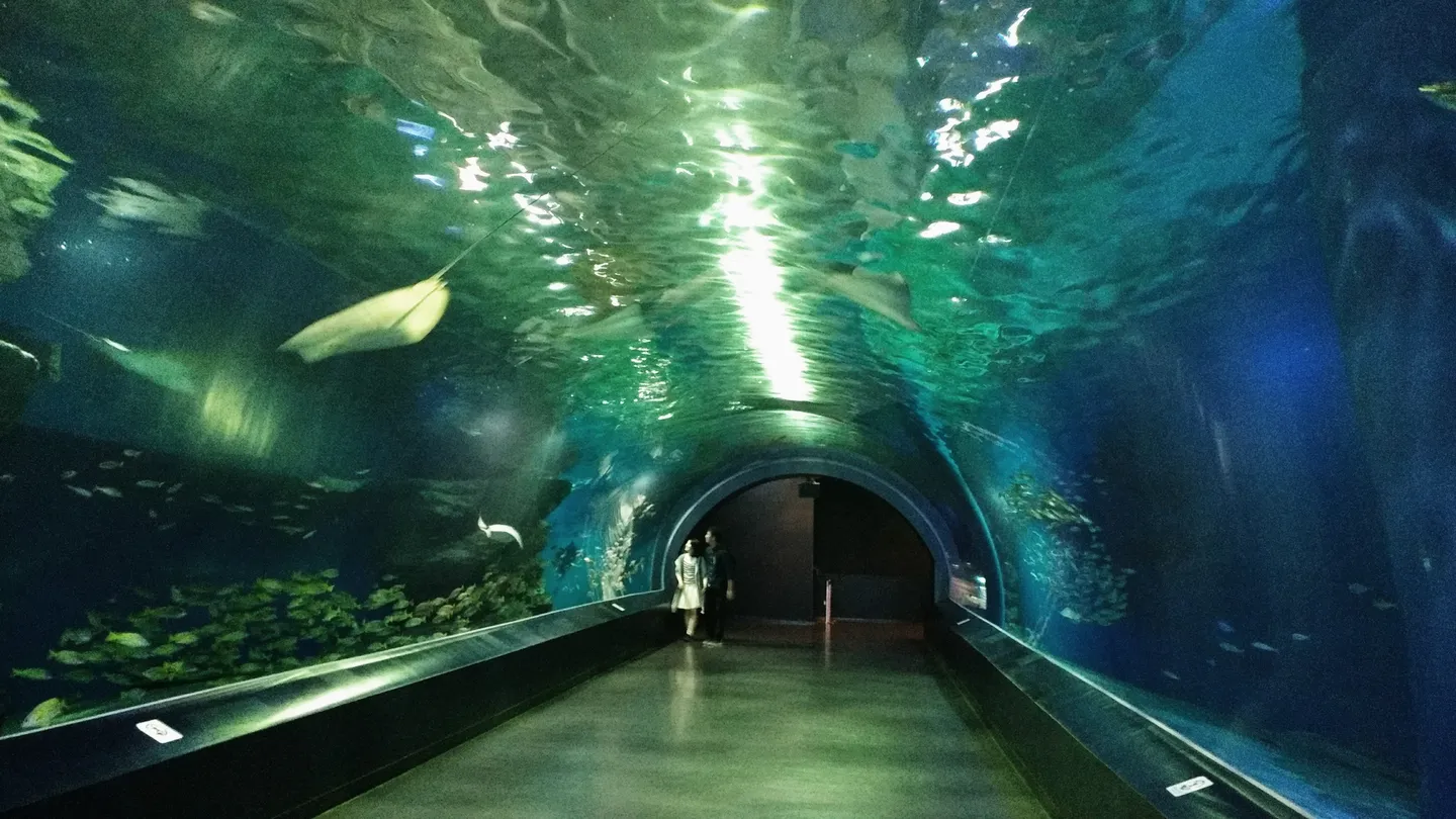 1_Shinagawa Aquarium
