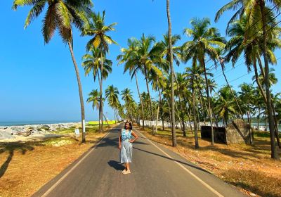 Distrito de Udupi
