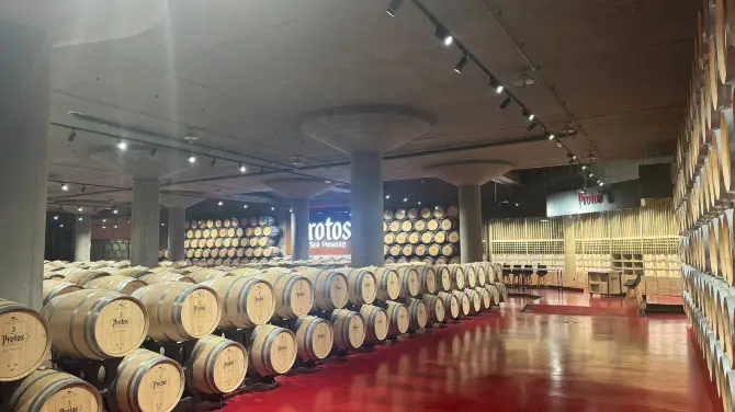 3_Bodegas Protos