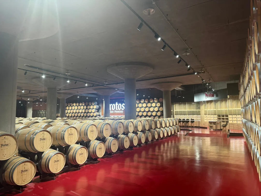 3_Bodegas Protos