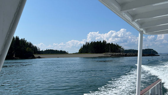 Quoddy Link Marine Whale & Wildlife Cruises