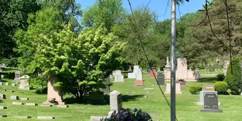 Woodland Cemetery & Arboretum