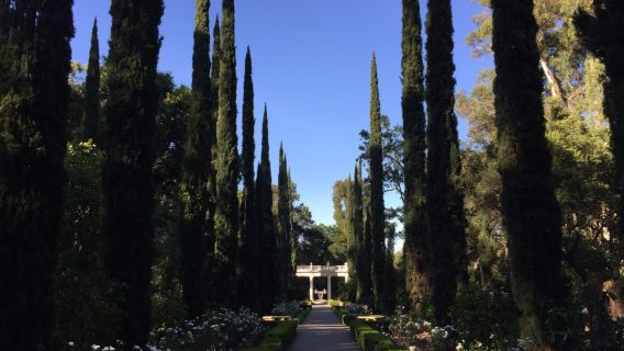 Montalvo Arts Center