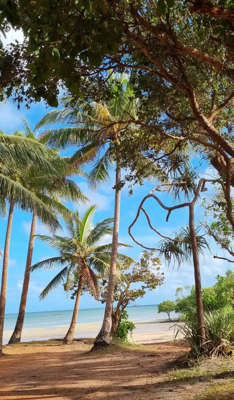 Bamaga