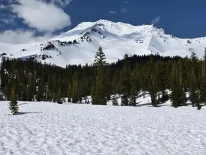Шаста