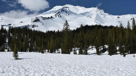 Mount Shasta