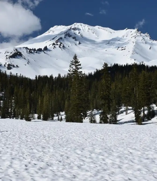 McCloud