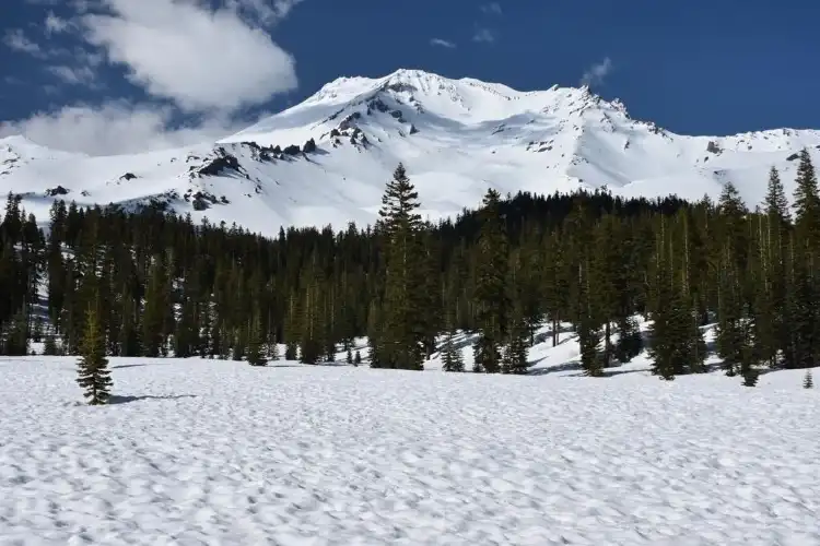 فنادق في McCloud
