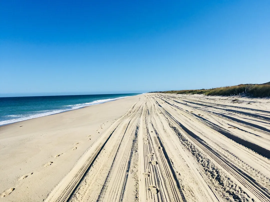 3_Коската-Котью Уайлдлайф Рефьюдж Гейтхаус