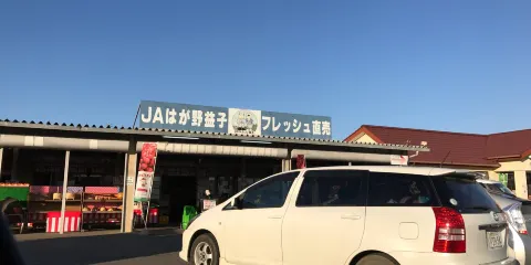 JA Hagano Mashiko Strawberry Picking