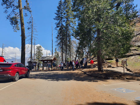 Moro Rock Trail