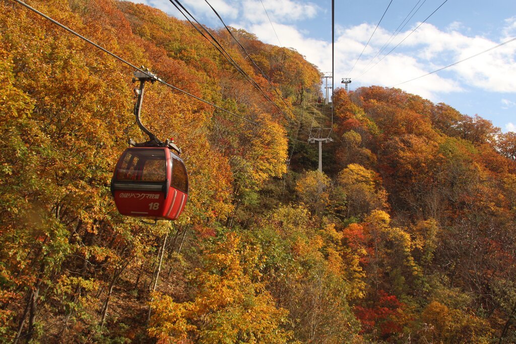 北海道 のぼりべつクマ牧場 入場チケット（ケーブルカー含む）予約（即日発券）