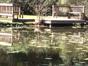 Kalmia Gardens