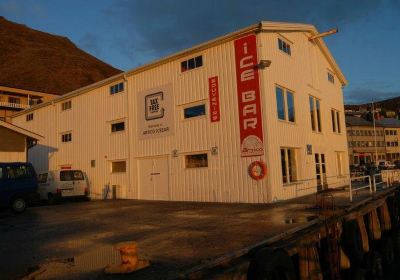 Artico Icebar
