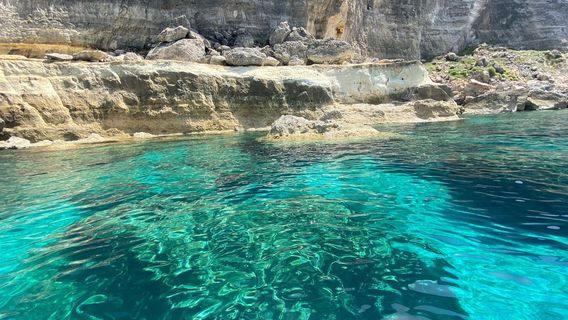 Barca Greta Simone Cardinale