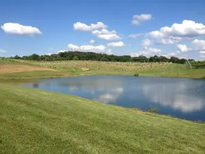 Monkey Hollow Winery