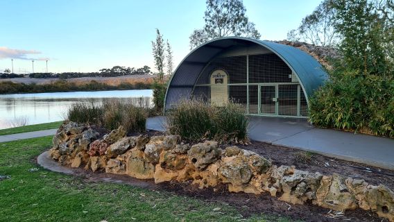 Murray Bridge Bunyip