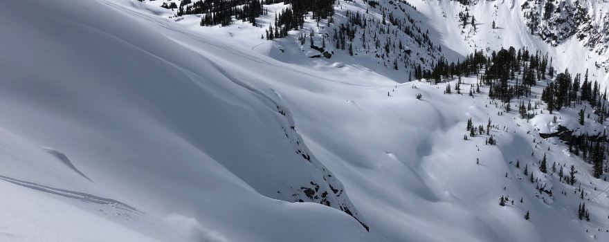 Rogers Pass Discovery Centre