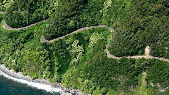 Hana Maui Botanical Gardens