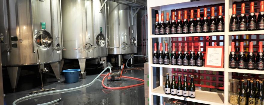 La cave du Perlé Delobel & Fils