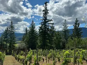Larch Hills Winery