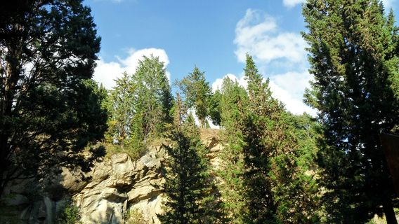 Parco di Montececeri