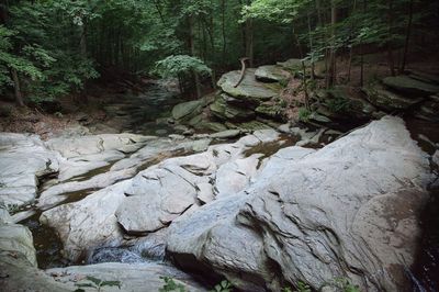 Double Rock Park