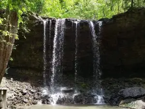 Charleston Falls Preserve